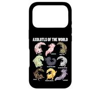 Axolotls of The World Axolotl Morphs Chart Art éducatif Coque pour iPhone 17 Pro