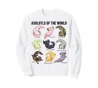 Axolotls of The World Axolotl Morphs Chart Art éducatif Sweatshirt