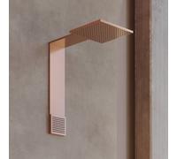 Hansgrohe Module de douche ShowerComposition 12594310 250×250 mm 2 jets mural Or rouge brossé