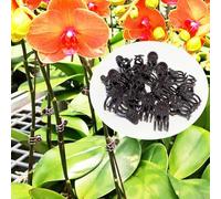 Axorafow Lot de 100 pinces à orchidée marron à 5 griffes pour support de plantes - Pinces à tige de jardin en plastique léger 20 x 10 x 16 mm - Lot de 10/50/100 - Idéal pour les vignes grimpantes