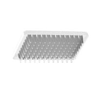 Axygen P-96-450V-W Deep Well Microplate de stockage de 500 microlitres avec puits à fond en V, PP blanc (1 boîtier: 10 plaques/unité; 5 unités/étui)