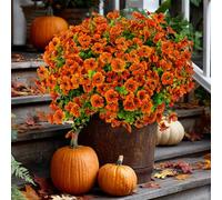 AXYLEX Lot de 16 Fleurs artificielles pour l'extérieur - Buis - Ne se décolore Pas - Décoration d'automne - pour la Ferme, la Maison, Le Jardin, Thanksgiving (Rouge orange16)