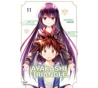 Ayakashi Triangle T11