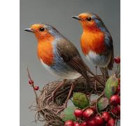 AYAOYANGGO Animal Diy Kit De Broderie Française Avec Perles Oiseaux Et Baies Kit De Broderie De Perles Pour Adultes,Ensemble De Tapisserie Au Point De Croix,Seed Bead Embroidery Kits 40x50cm