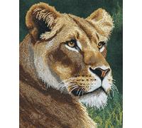 AYAOYANGGO Animal Kit Point De Croix Lion Sauvage Kits De Point De Croix Diy Pour Adultes Avec Aiguilles，Ciseaux，Enfile-Aiguilles Et Pré-Imprimés Pour Décoration Murale 11CT 50x70cm