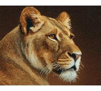 AYAOYANGGO Animal Kit Point De Croix Lion Sauvage Kits De Point De Croix Diy Pour Adultes Avec Aiguilles，Ciseaux，Enfile-Aiguilles Et Pré-Imprimés Pour Décoration Murale 11CT 80x100cm