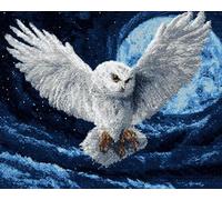 AYAOYANGGO Animal Tapis Point Noué À Faire Le Hibou Et La Lune Ensemble De Tapis À Faire Soi-Même Avec Toile Imprimée,Fil À Crochet，Broderie,Loquet，Tapisserie Pour La Décoration De La Maison 33x45in