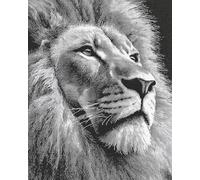 AYAOYANGGO DIY Animal Kit Crochet Loquet Lion Noir Et Blanc Kits De Tapis À Crochet Pour Enfants,Kit De Crochets Pour Débutants,Set Fabrication De Tapisserie Avec Toile Imprimée,Cadeau 31x63in