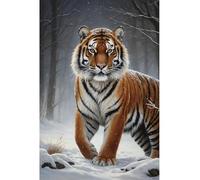 AYAOYANGGO Diy Kit De Broderie Française Avec Perles Animal Tigrekit De Broderie De Perles Pour Adultes,Ensemble De Tapisserie Au Point De Croix,Seed Bead Embroidery Kits 9CT 40x50cm