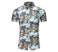 AYBIOSD Chemise Hawaïenne D'été pour Homme Plus Size 7XL Manches Courtes Imprimée Bouton T Shirts De Plage Tops,Style 17,7XL