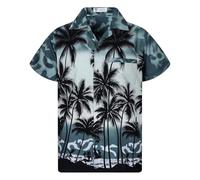 AYBIOSD Chemises Vintage Boutonnées À Manches Courtes pour Hommes Chemise De Plage Imprimée Décontractée Hawaïenne,Style 17,XS