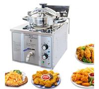 AYCDL Friteuse Électrique De Comptoir 16 L, en Acier Inoxydable 304, Idéale pour La Cuisson du Poulet Et du Poisson dans Les Restaurants Et Les Snacks.