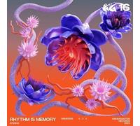 Ayesha - Rhythm is Memory [Import]