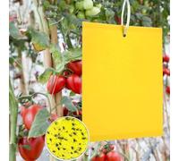 AYIDBE Pièges à Insectes 50pcs Pièges Engluées Colle Double-Face Piège à Mouches Pucerons Bleu Attrape-Insectes de Tueur d'insecte pour Plantes d'intérieur et d'extérieur Fleurs Fruits 25 * 20cm
