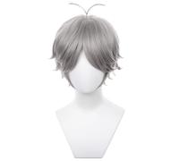 AYIMEIS Anime Haikyuu Sugawara Koushi Cosplay Perruque Argenté Courte Déguisement de Haikyuu Sugawara Koushi Wig Anime Perruque Noël Halloween Carnaval Fête Costume Accessoires