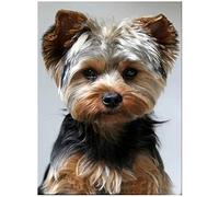 Ayjxtz Puzzle 1000 pièces Yorkshire Terrier Chien Mignon Animal de Compagnie Puzzle 1000 Pieces Grands Loisirs de Vacances ， Jeux interactifs en famille50x75cm(20x30inch)