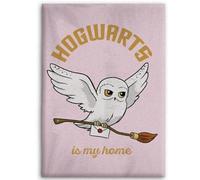 Aymax Couverture douillette Harry Potter Hedwig - 110 x 150 cm
