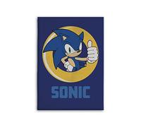 Aymax Couverture Plaid Sonic Polyester Bleu 140 x 100 cm