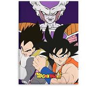 Aymax Couverture polaire Boule de Dragon 140 X 100 CM III