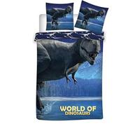 Aymax Parure de lit réversible -World of Dinosaurs- - Bleue - 140 cm x 200 cm