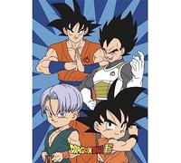 Aymax Plaid Dragon Ball Z