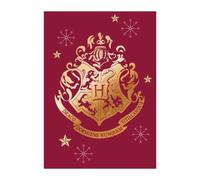 AYMAX S.P.R.L Couverture polaire Hogwarts Harry Potter 140 x 100 cm