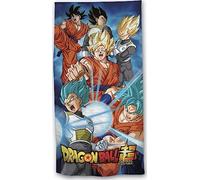 Parure de lit - Harry Potter - Housse de couette 240x220 cm - 2 Taies 63x63 cm - Microfibre - Oeko Tex