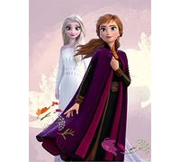 Aymax S.P.R.L. Reine des Neiges - Plaid Polaire Enfant Disney Elsa Frozen - Couverture 100x140 cm