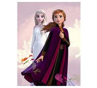 Aymax S.P.R.L. Reine des Neiges - Plaid Polaire Enfant Disney Elsa Frozen - Couverture 100x140 cm