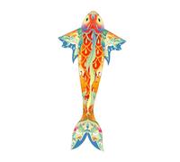 Aymzbd Koi, Jouet Volant pour Jeux et Activités de Plein Air dans Les Parcs