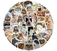 AYNKH 100 Pcs Autocollants Chat,Autocollants de Dessin Chats,Imperméable Vinyle Autocollant pour Guitare Skateboard Telephone Ordinateur Portable Scrapbooking Bouteille Journal