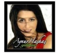 Aynur Hashas - Gulistan