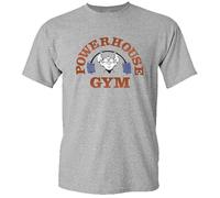 AYTAPUGE Powerhouse Gym Men's Grey T-Shirt Grey M