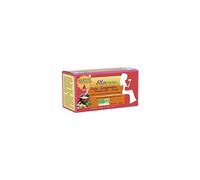 AYur-vana Infusion Tulsi/Gingembre Bio 25 Sachets