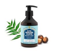 Ayurvita Shampoo - Natural Nourishing Dandruff Shampoo - Neem and Reetha Infused - Ayurvedic Daily Hydrating Shampoo - Moisturizing Cleansing Shampoo For Hair - For Women & Men - 10 fl oz