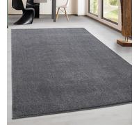 Ayyildiz Tapis de Salon Pile Courte Moderne Couleur Unique moucheté Gris Claire - 200x290 cm
