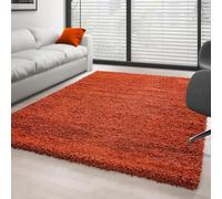 Ayyildiz Tapis Shaggy Pile Longue Couleur Unique Terracotta - 120x170 cm