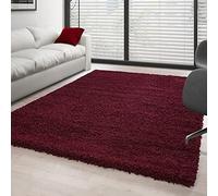 Ayyildiz Teppich Tapis à Poils Longs et Longs - Hauteur : 3 cm - Couleur : Rouge, 60x110 cm