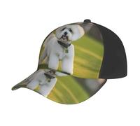 AYYQWE Bichon Frise Dog on The Grass Print Baseball Cap Mesh Summer Hat Outdoor Sports Quick Dry Respirant Absorption de la Sudation Noir