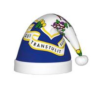 AYYQWE Chapeau de Noël imprimé drapeau de l'État du Connecticut pour adultes, couvre-chefs pour Noël, Nouvel An, célébrations saisonnières