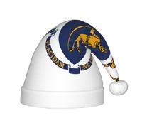 AYYQWE Chapeau de Noël imprimé drapeau de l'État du Massachusetts pour adultes, couvre-chefs pour Noël, Nouvel An, célébrations saisonnières