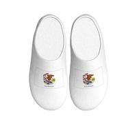 AYYQWE Illinois State Flag Print Chaussons d'intérieur unisexes en TPR doux avec semelle antidérapante pour la maison, les voyages, l'intérieur