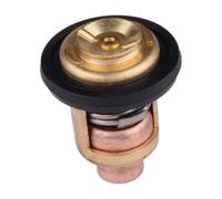 AYZLGAA Joint de Thermostat for M-e-r-c-u-r-y Marine Hors-Bord 75692t3, 2 pièces, 75692q2 adapté
