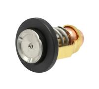 AYZLGAA Thermostat for Moteurs Hors-Bord Y-a-m-a-h-a S-u-z-u-k-i DF 70 à 300 HP