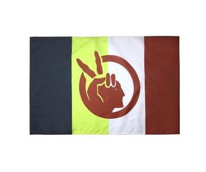 AZ FLAG Drapeau American Indian Movement 150x90 cm Polyester 100D Fourreau | Usage intérieur et extérieur Drapeau décoratif du mouvement des Indiens d’Amérique coutures doubles et bords renforcés