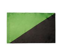 AZ FLAG - Drapeau Anarcho-primitivisme - 90x60 cm - Drapeau Anarchisme Vert En Anarchie 100% Polyester Avec Fourreau et Cordelette - Pavillon 50 g