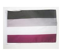 AZ FLAG - Drapeau Arc-en-Ciel Asexuel - 45x30 cm - Pavillon Lgbt - Asexualité - Rainbow 100% Polyester Avec Deux Cordelettes - 20g