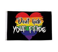 AZ FLAG - Drapeau Arc En Ciel Ne cachez pas votre fierté - 90x60 cm - Drapeau Lgbt Don'T Hide Your Pride 100% Polyester Avec Oeillets Métalliques Intégrés - Pavillon 50 g