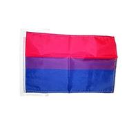 AZ FLAG - Drapeau Bisexuel - 45x30 cm - Pavillon Lgbt Bi - Arc En Ciel - Rainbow 100% Polyester Avec Deux Cordelettes - 20g