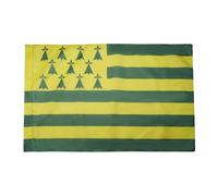 AZ FLAG - Drapeau Bretagne Melen Ha Gwer - 150x90 cm - Drapeau Breton Jaune Et Vert - Nantes 100% Polyester Avec Fourreau et cordelette - Pavillon 110 g